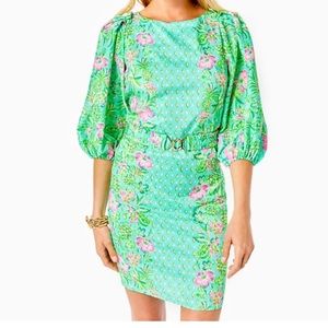 NWT Lilly Pulitzer Dress. No longer available online. Size small